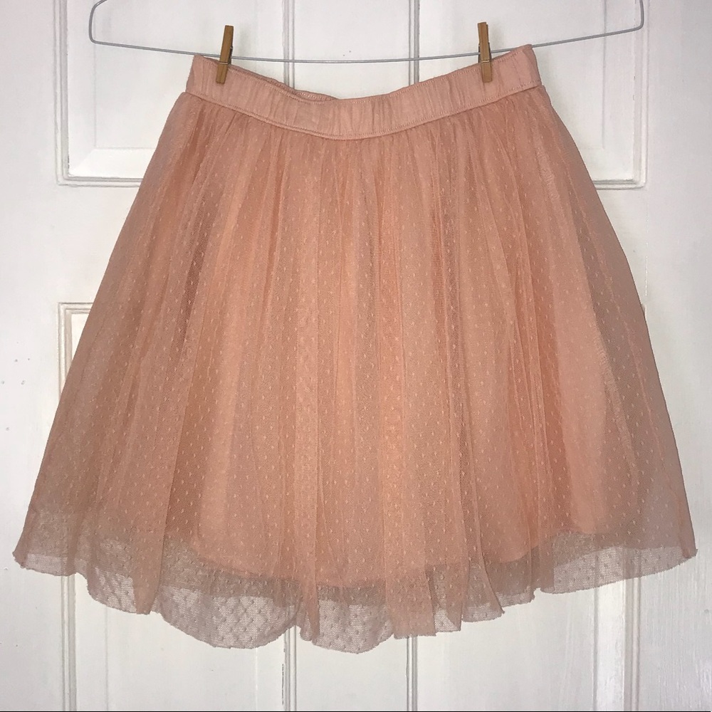 Tulle Skirt